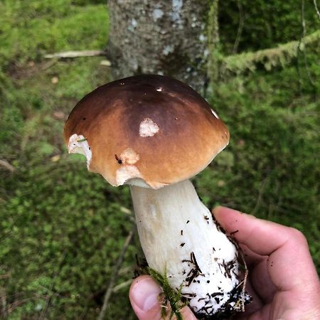 SlajszewoBlisko Morza别墅 外观 照片
