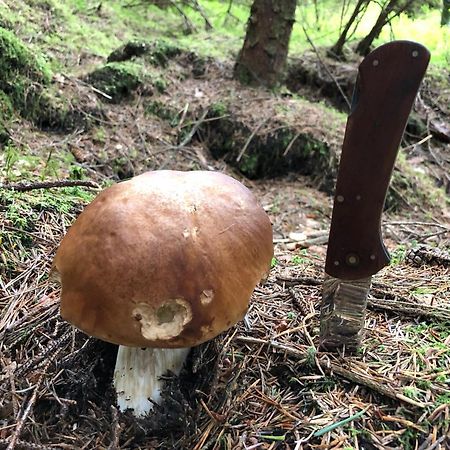 SlajszewoBlisko Morza别墅 外观 照片