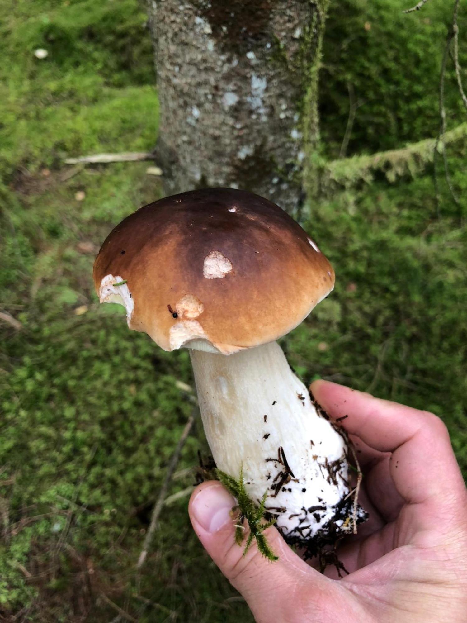 SlajszewoBlisko Morza别墅 外观 照片