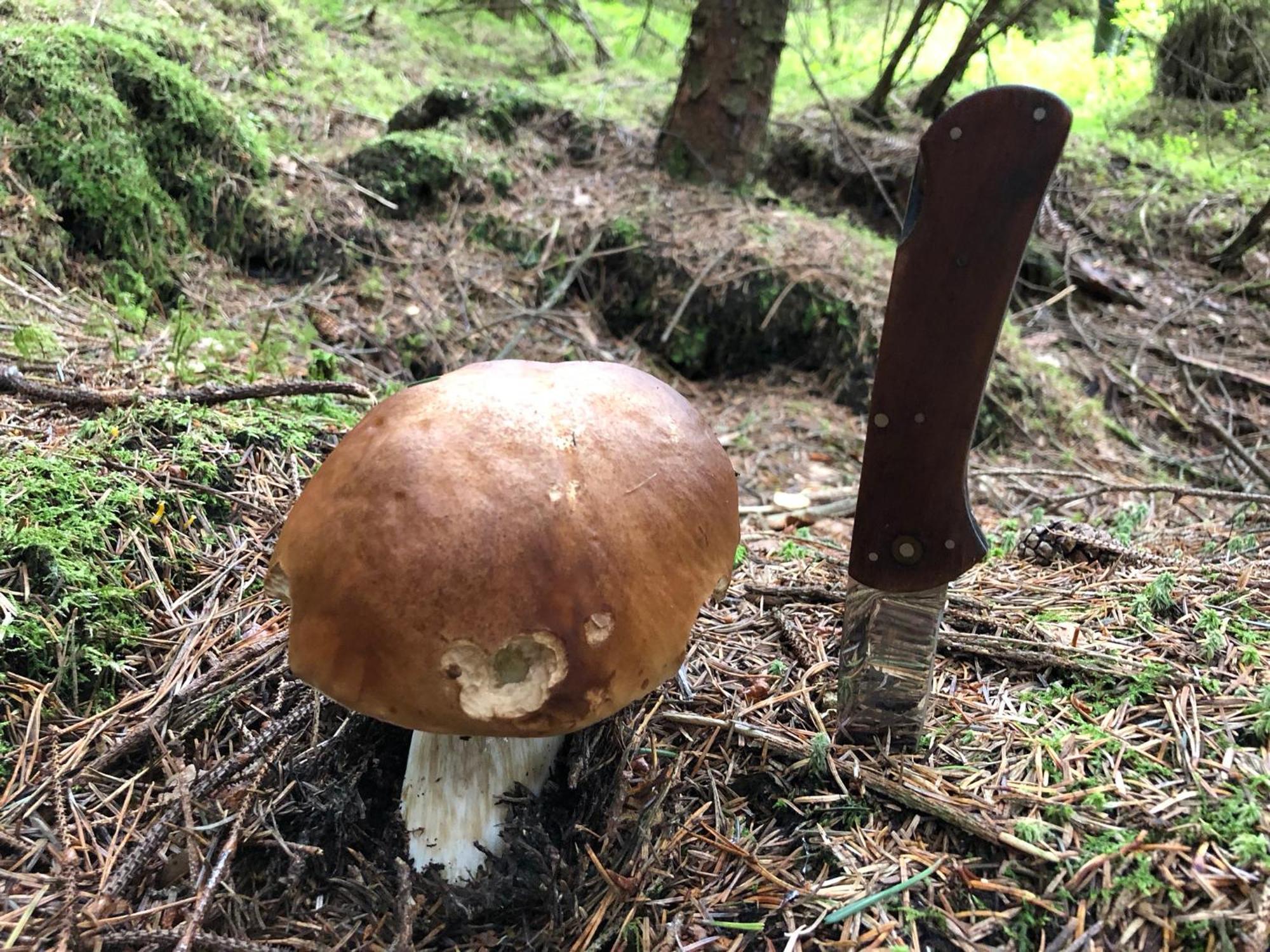 SlajszewoBlisko Morza别墅 外观 照片